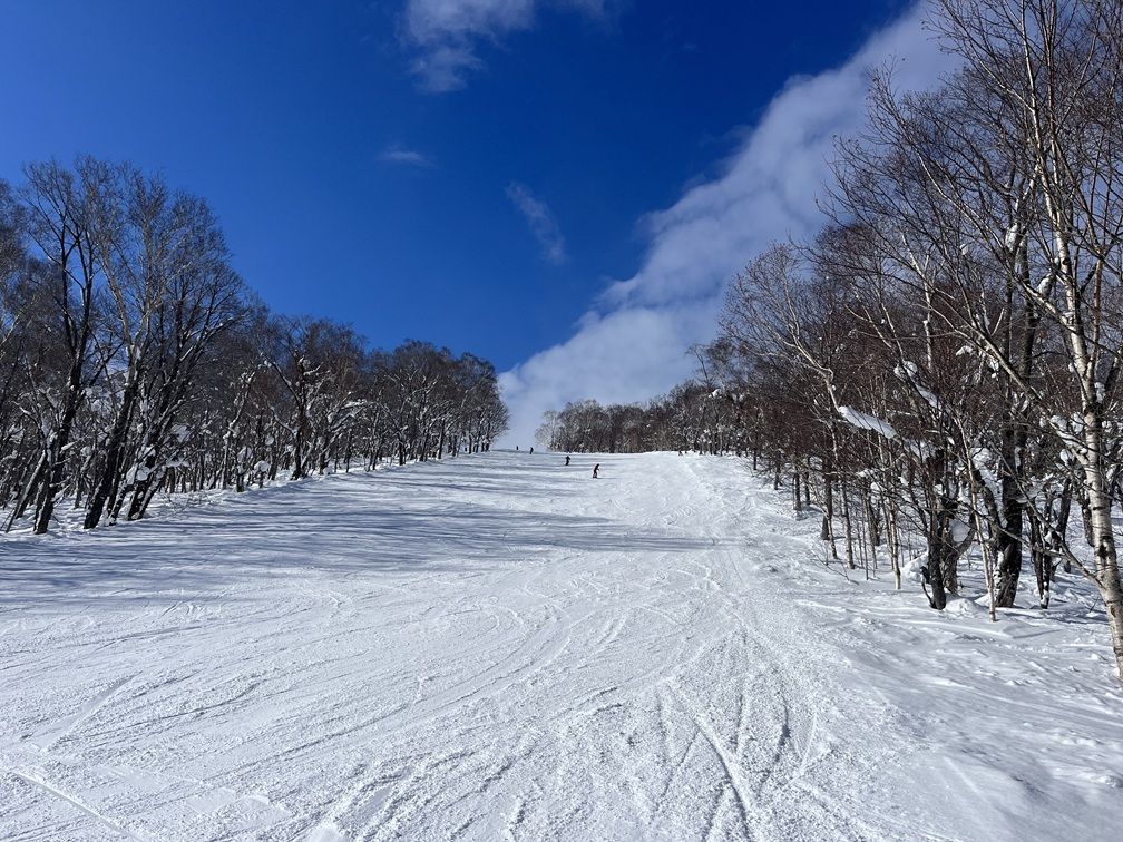 Rusutsu Ski Resort – The East Mountain features challenging red and black runs, perfect for advanced riders.